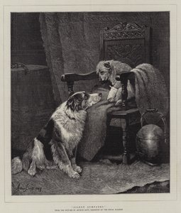 Silent Sympathy by Arthur Batt